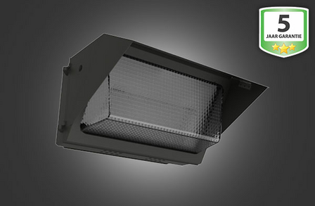 LED Wandlamp Pro 60W