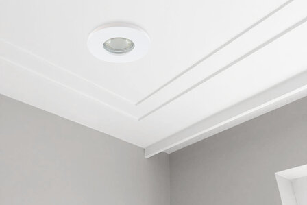 plafond spot AC 230V