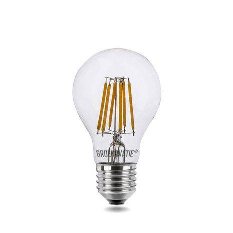 LED Filament E27 6W Dimbaar