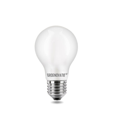 LED Filament Lamp 6 watt