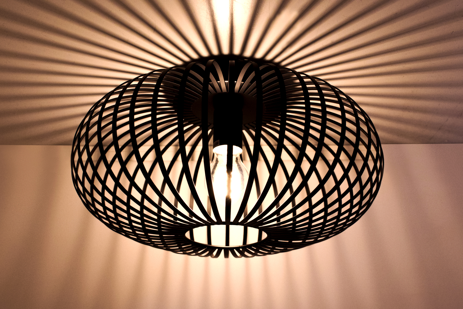 ✓ Plafonnière Zwart ✓ Metalen Behuizing ✓ ⌀40 x 20 cm - Lamp #1