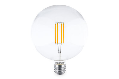 E27 LED Filament Grote G180 Globelamp 8W Warm Wit Dimbaar 